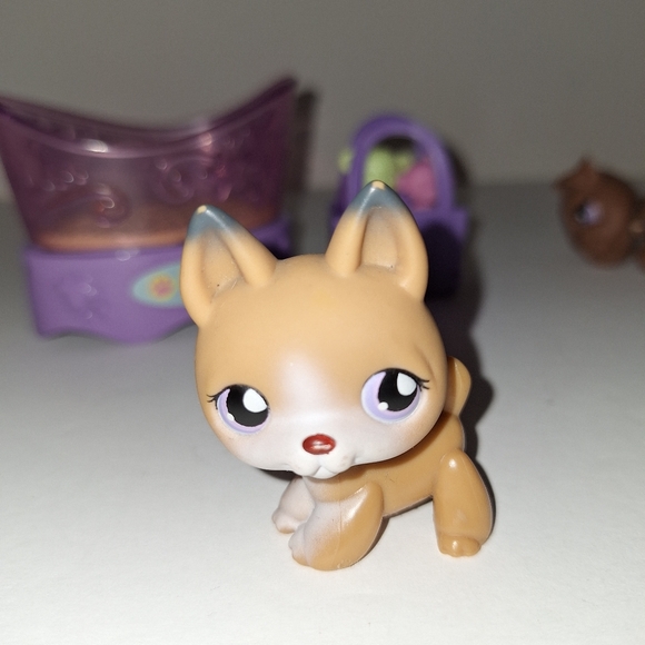 2007 littlest PetShop - Picture 9 of 13